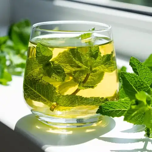 Thé vert Menthe